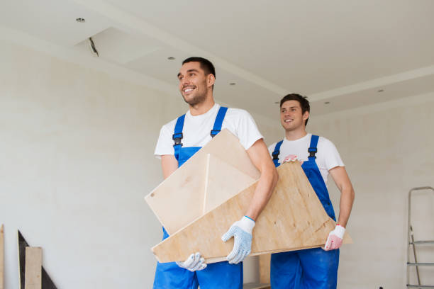 Best Demolition Debris Removal  in Greenwood, IN
